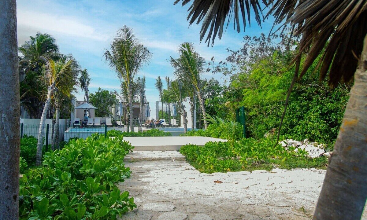 Photo of Outdoor in Akumal