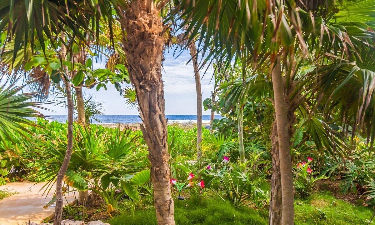 Photo of Outdoor in Akumal