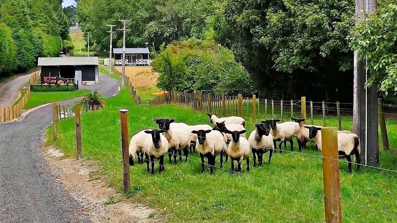 Photo of Outdoor in Kumeu