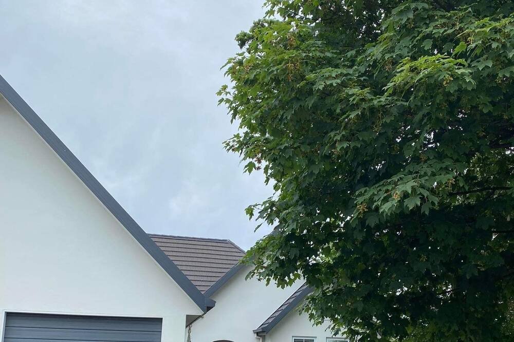 Photo of Outdoor in Blenheim