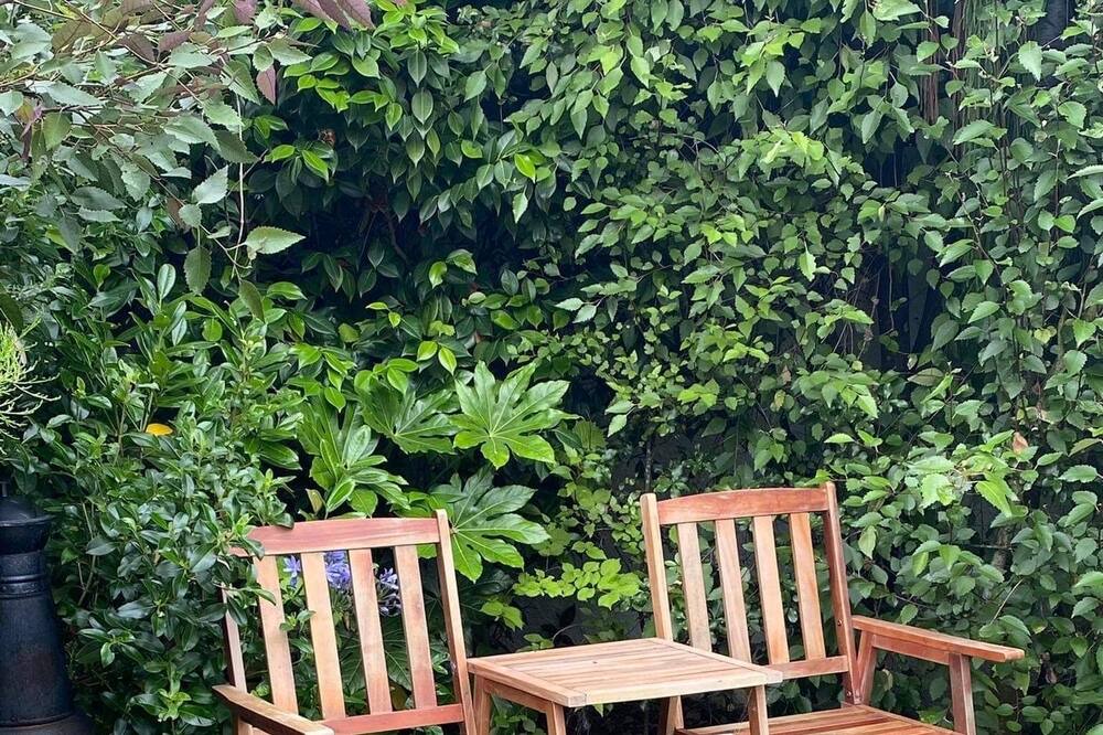 Photo of Outdoor in Blenheim
