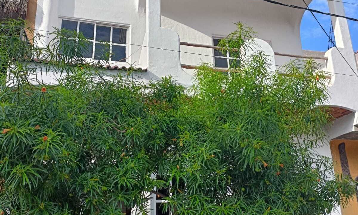 Photo of Outdoor in Lo de Marcos