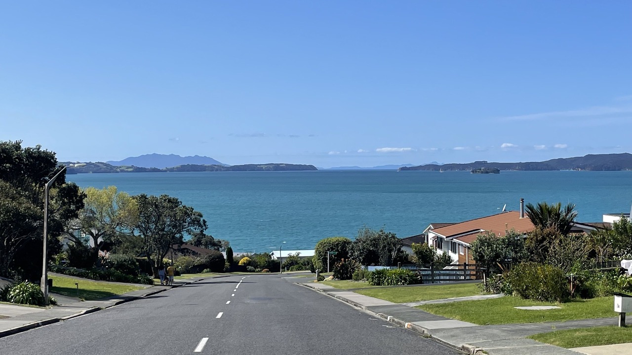 Photo of Others in Algies Bay