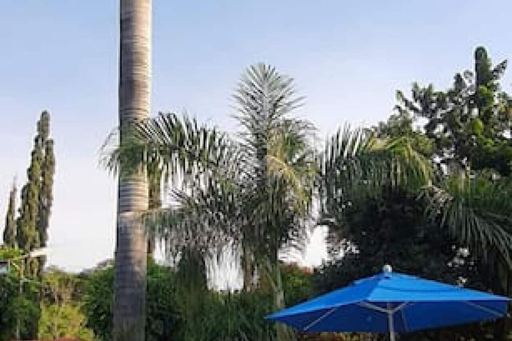 Photo of Others in Cuautla