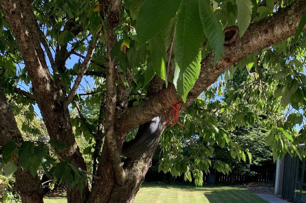 Photo of Outdoor in Rangiora