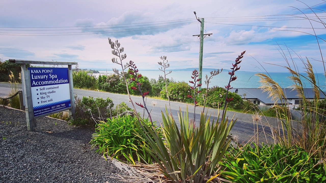 Photo of Outdoor in Kaka Point