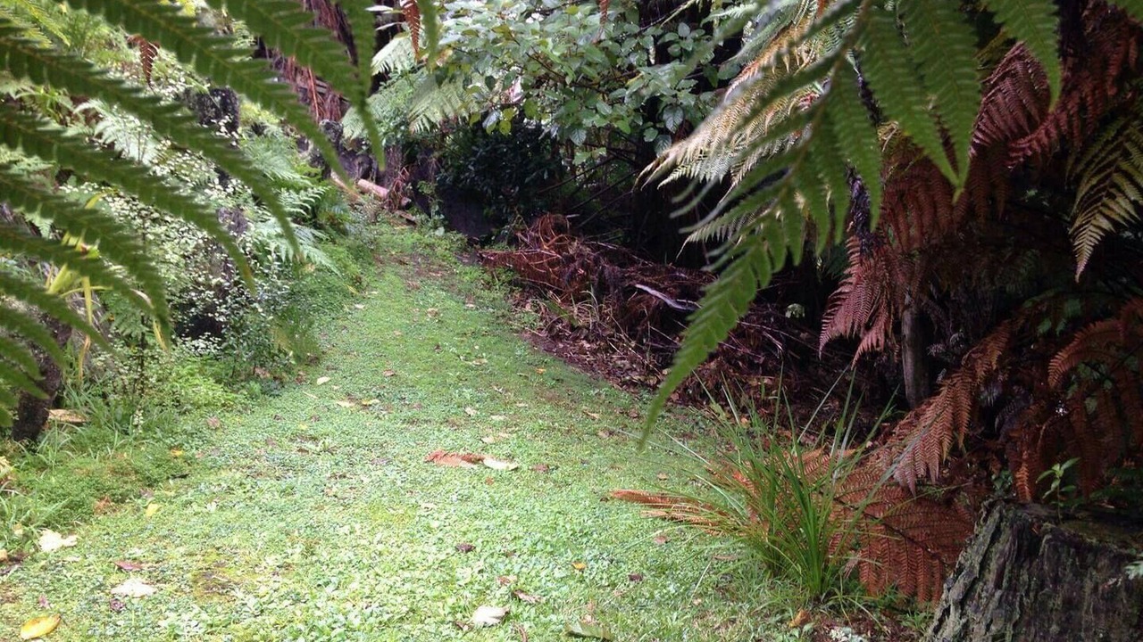 Photo of Outdoor in Waikino