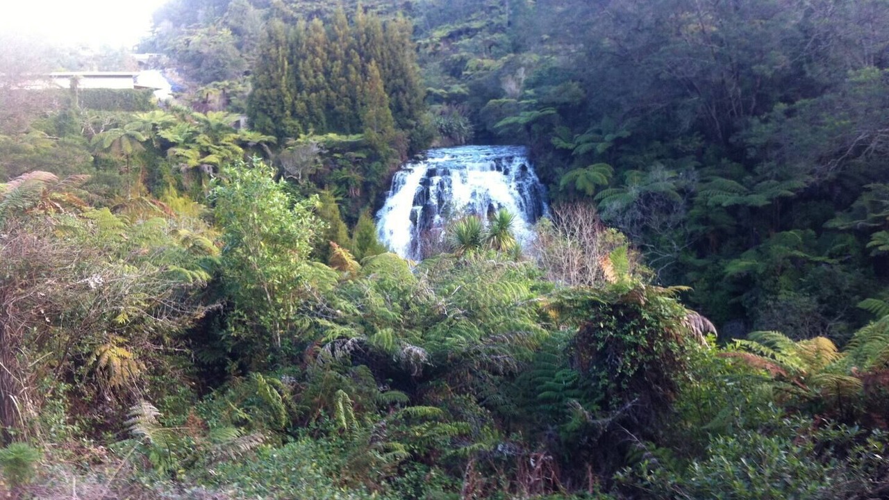 Photo of Others in Waikino