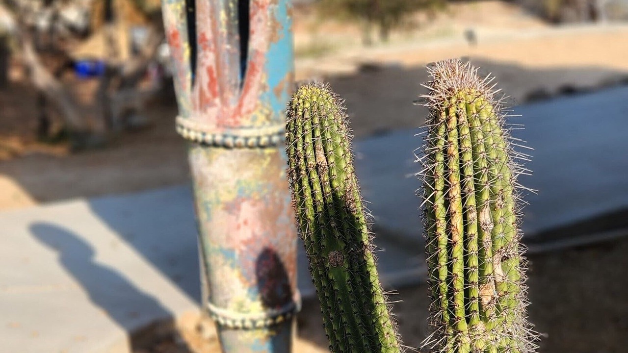 Photo of Outdoor in Buenavista