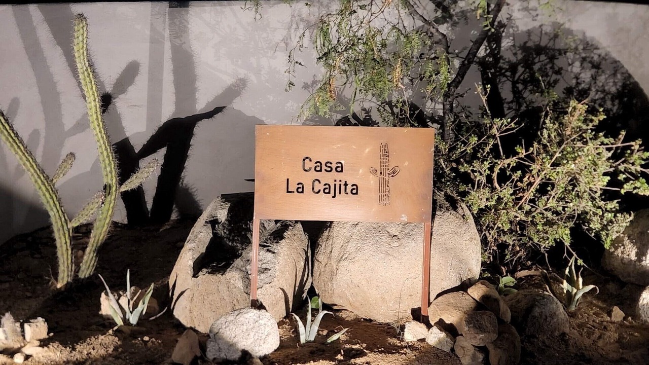Photo of Outdoor in Buenavista