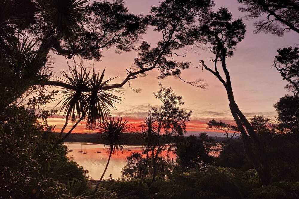 Photo of Others in Mahurangi