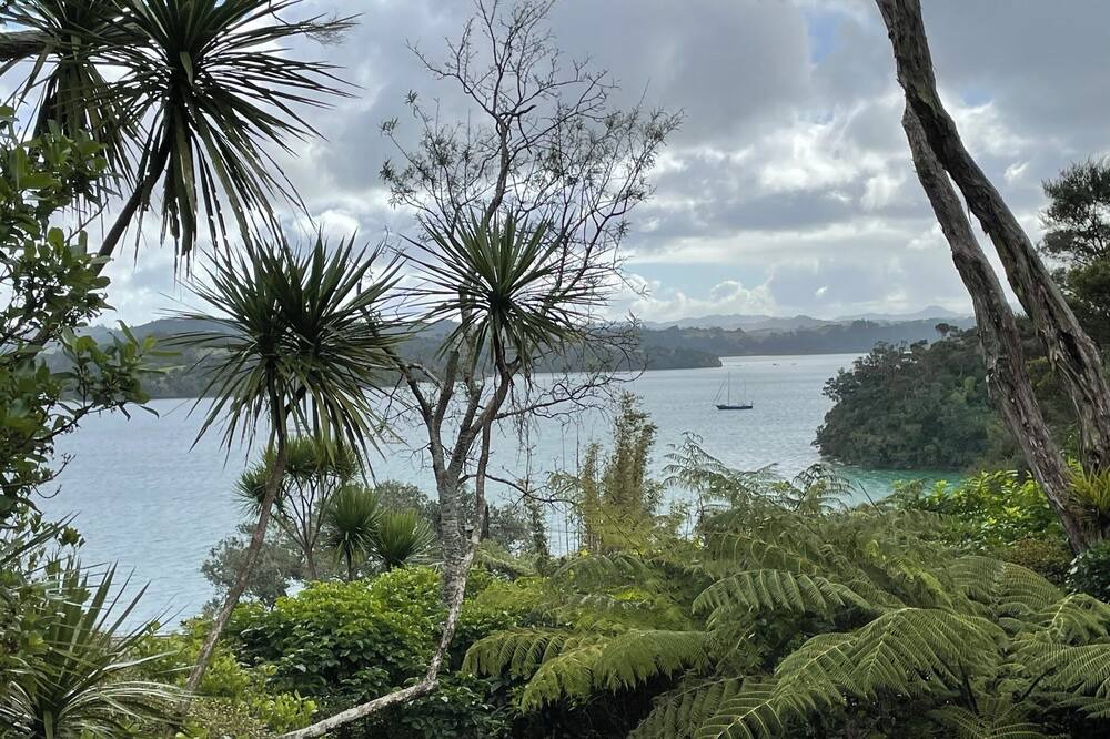 Photo of Others in Mahurangi