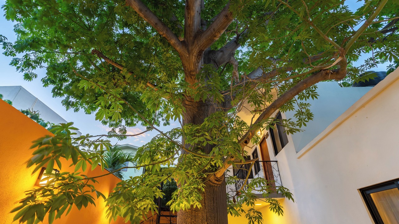 Photo of Bedroom in Esterito