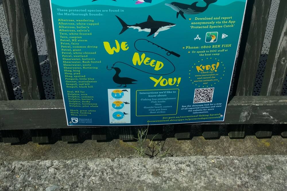 Photo of Outdoor in Waikawa Bay