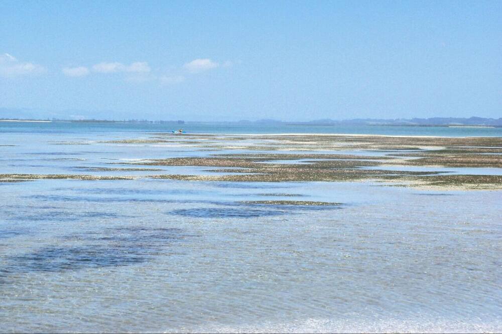 Photo of Others in Kaimaumau