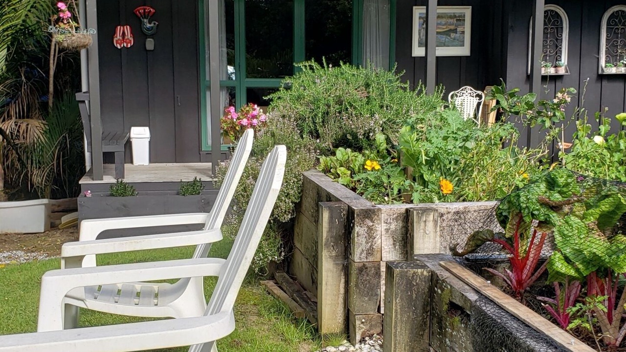Photo of Outdoor in Tawharanui