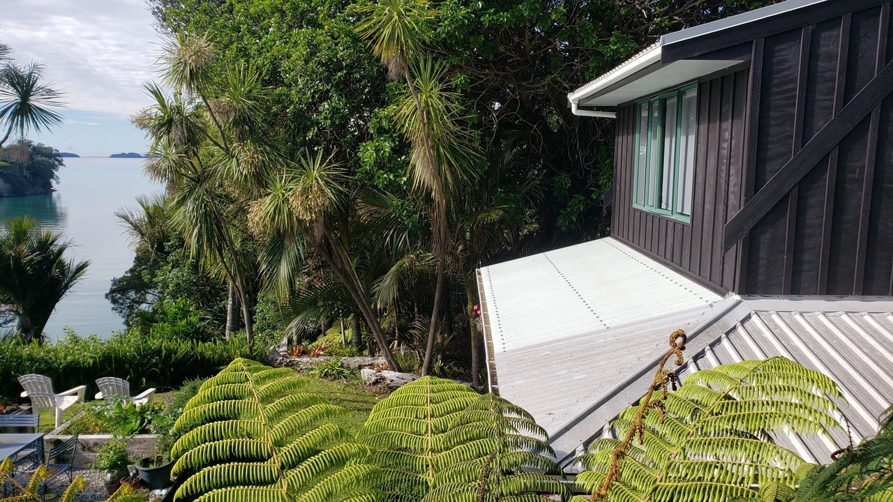 Photo of Outdoor in Tawharanui