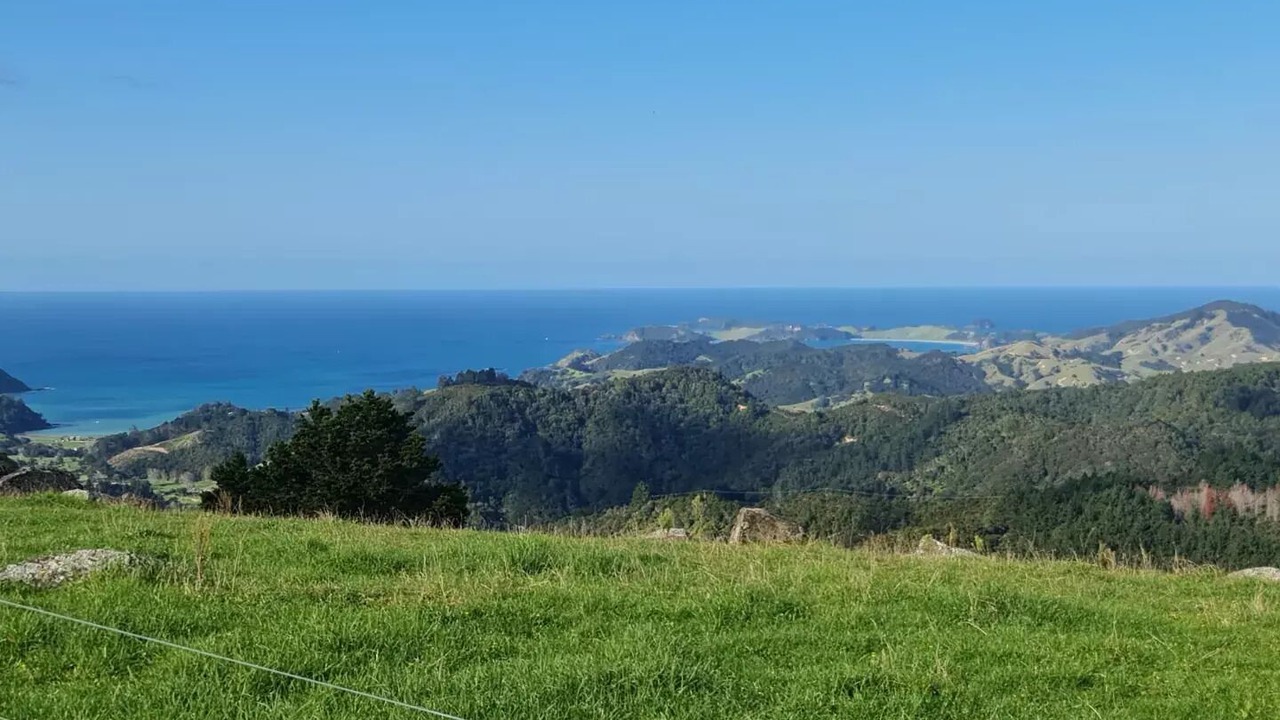 Photo of Others in Helena Bay