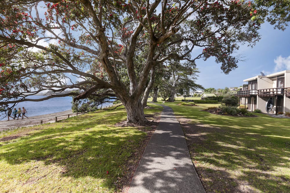 Photo of Outdoor in Snells Beach