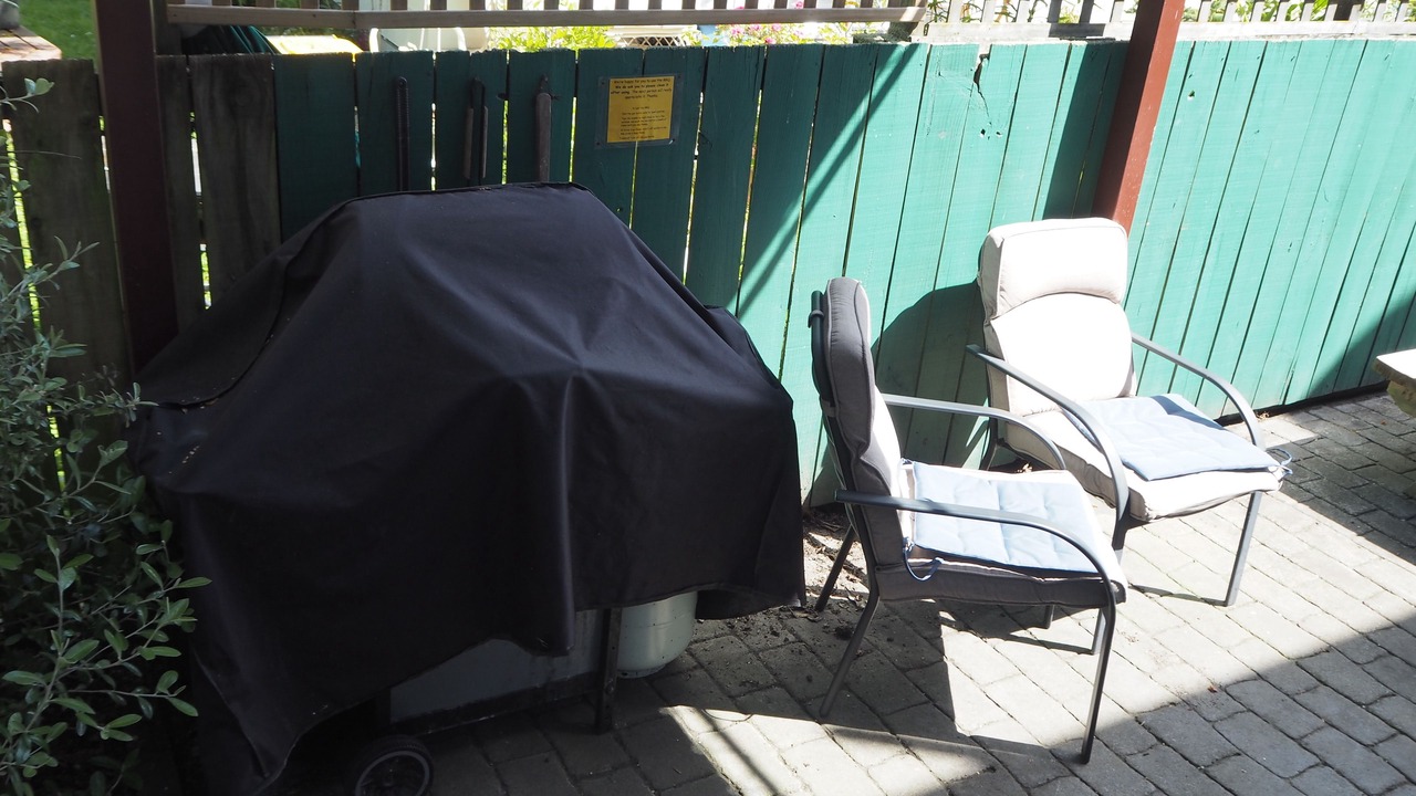 Photo of Outdoor in Nelson