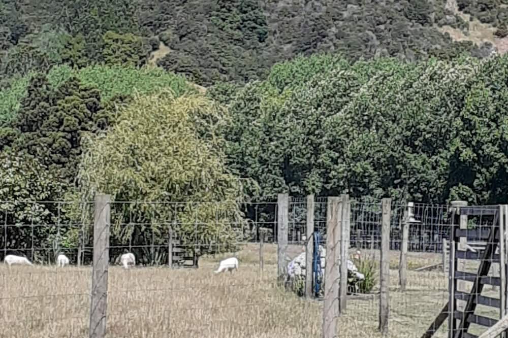 Photo of Outdoor in Kourawhero