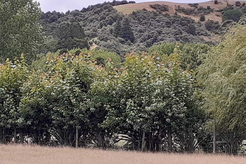 Photo of Outdoor in Kourawhero