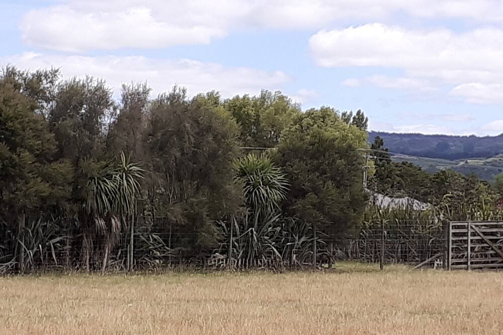 Photo of Outdoor in Kourawhero