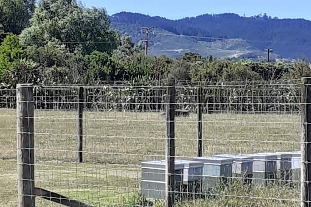 Photo of Others in Kourawhero