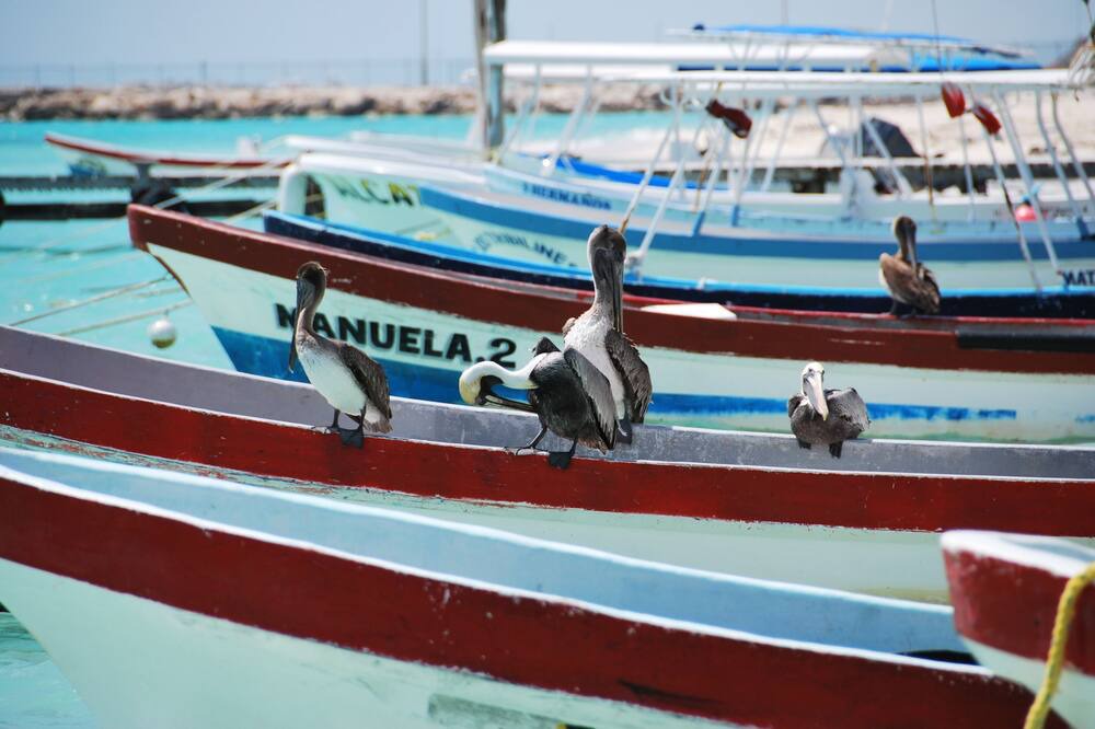 Photo of Others in Puerto Morelos
