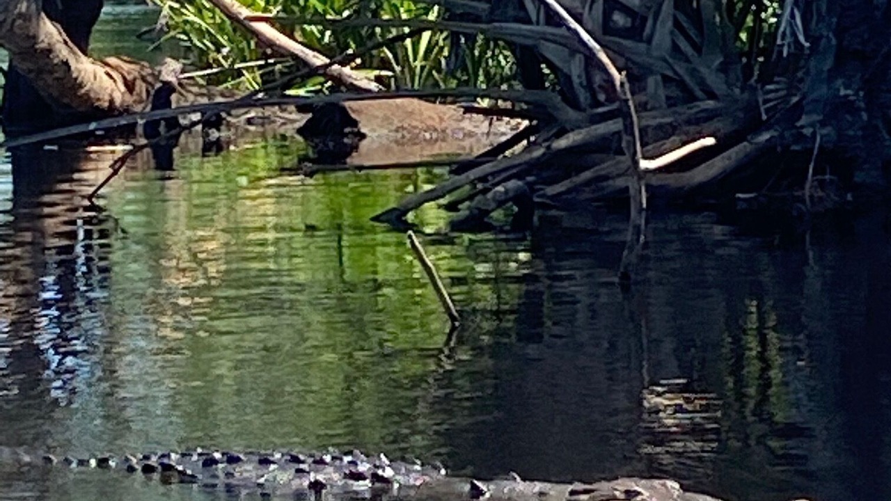 Photo of Outdoor in San Agustinillo