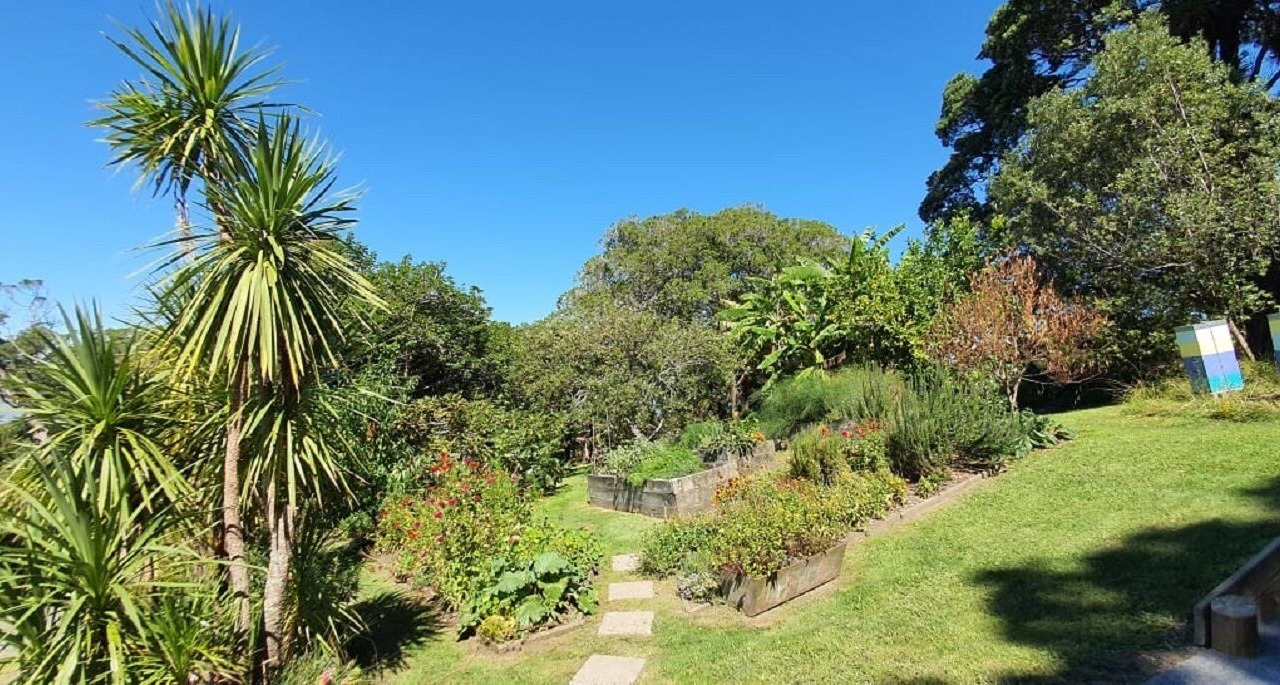 Photo of Outdoor in Mahurangi
