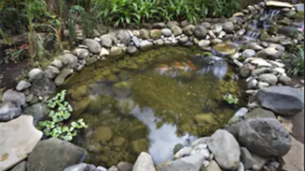 Photo of Outdoor in Del Cerrillo