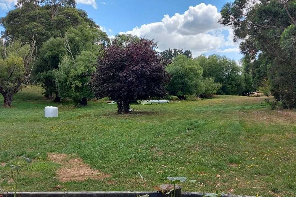 Photo of Outdoor in Waipawa