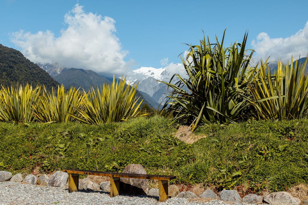Photo of Others in Franz Josef Glacier