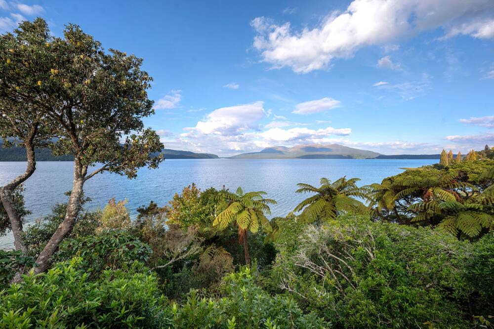 Photo of Others in Lake Tarawera