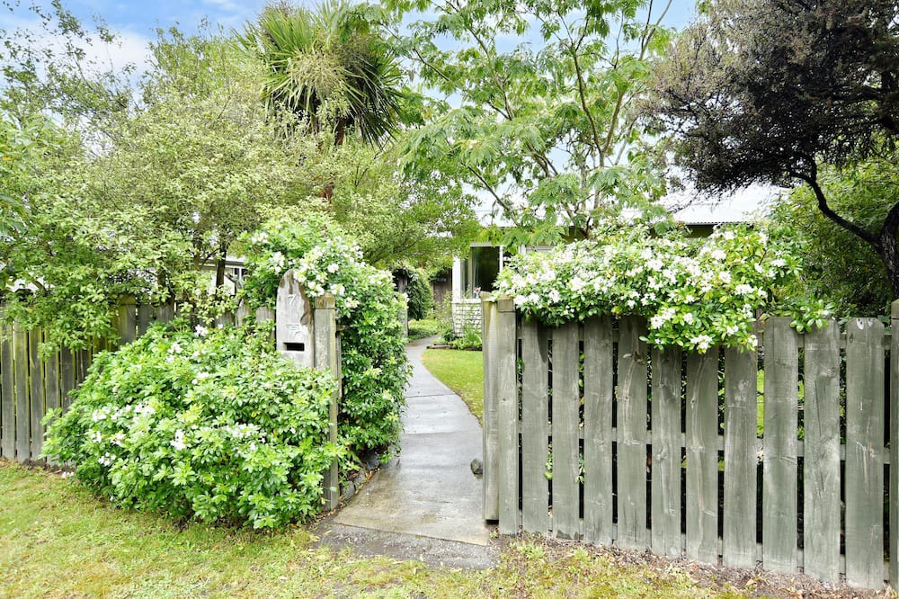 Photo of Outdoor in Christchurch