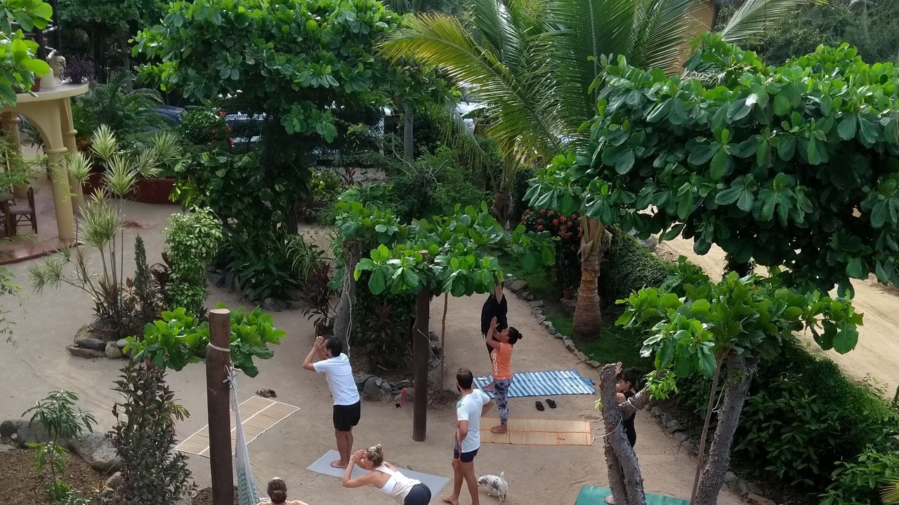 Photo of Outdoor in Troncones