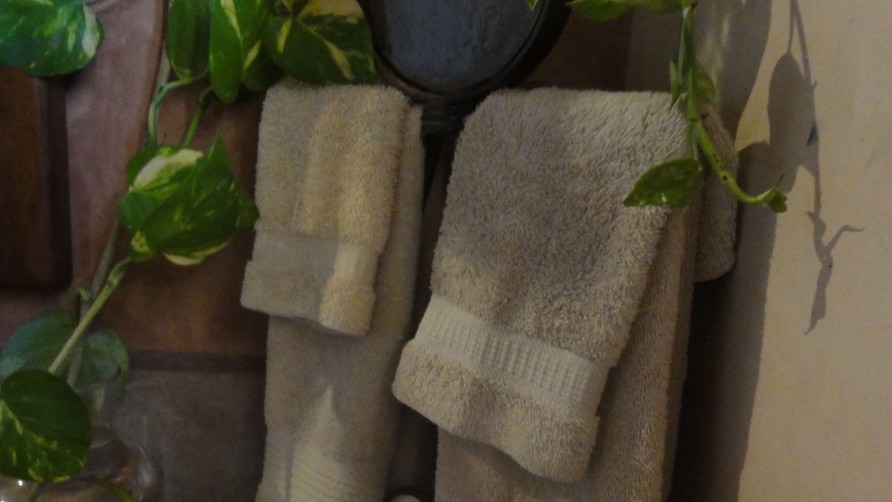 Photo of Bathroom in Troncones