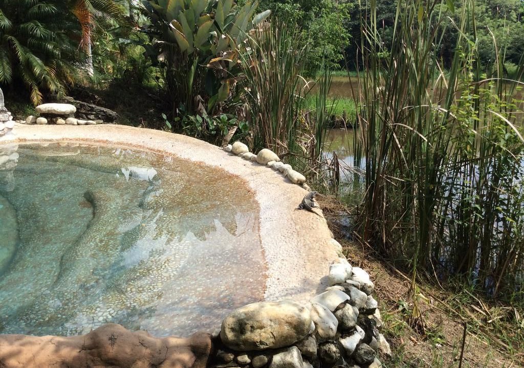 Photo of Outdoor in Palenque
