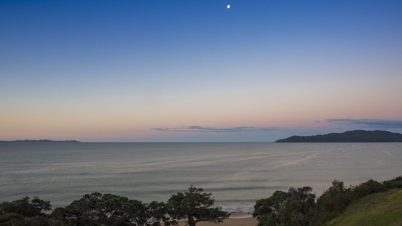 Photo of Others in Cable Bay