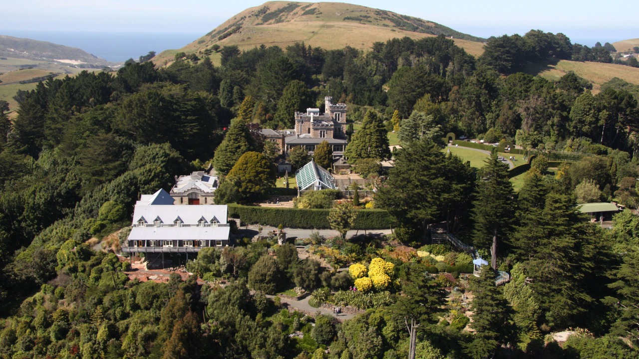 Photo of Outdoor in Dunedin