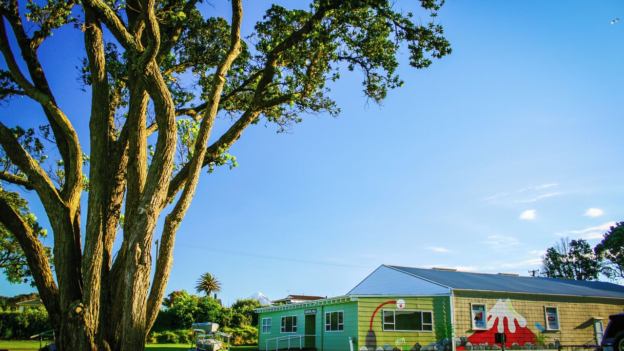 Photo of Outdoor in New Plymouth