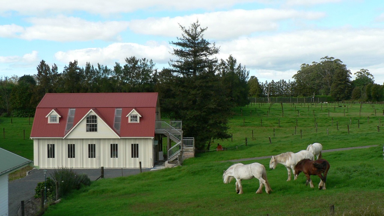 Photo of Outdoor in Kerikeri