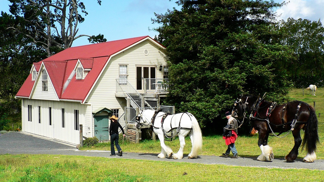 Photo of Outdoor in Kerikeri