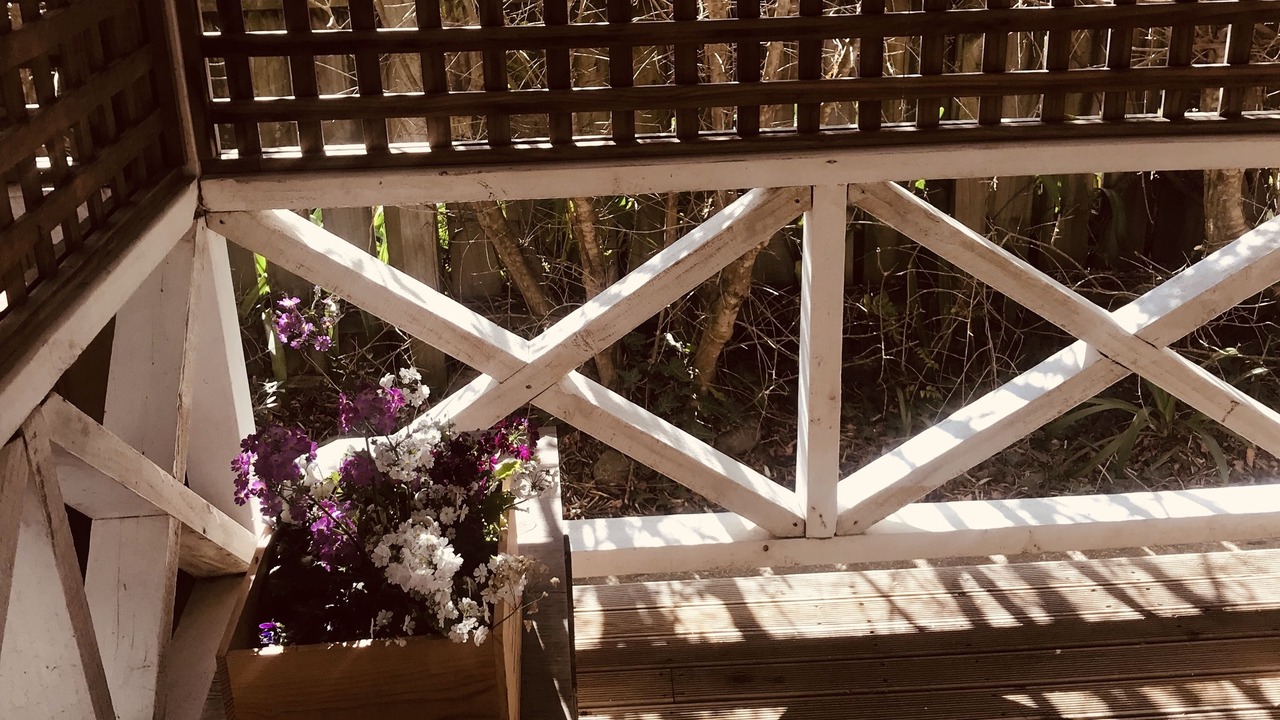 Photo of Patio Balcony in Martinborough