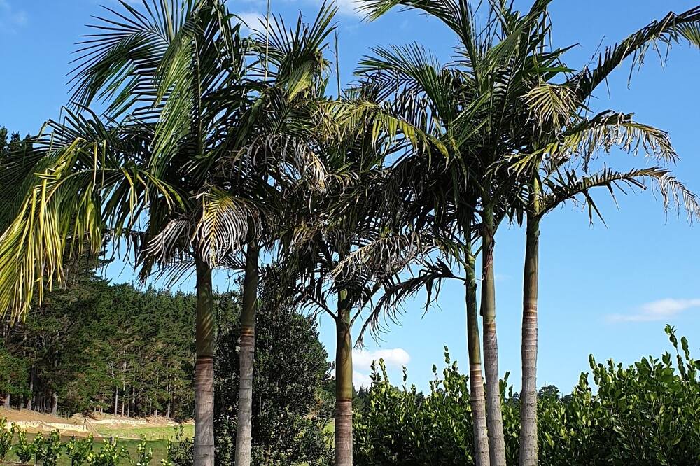 Photo of Outdoor in Haruru