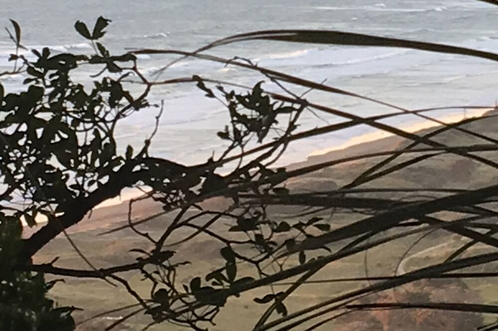 Photo of Others in Muriwai