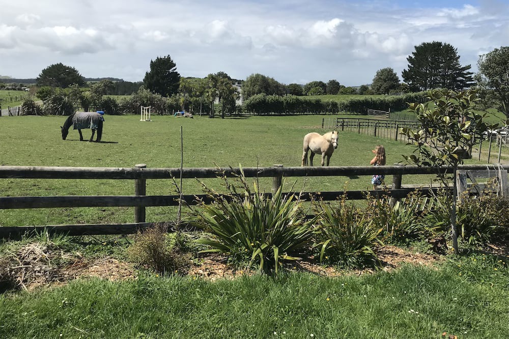 Photo of Outdoor in Muriwai