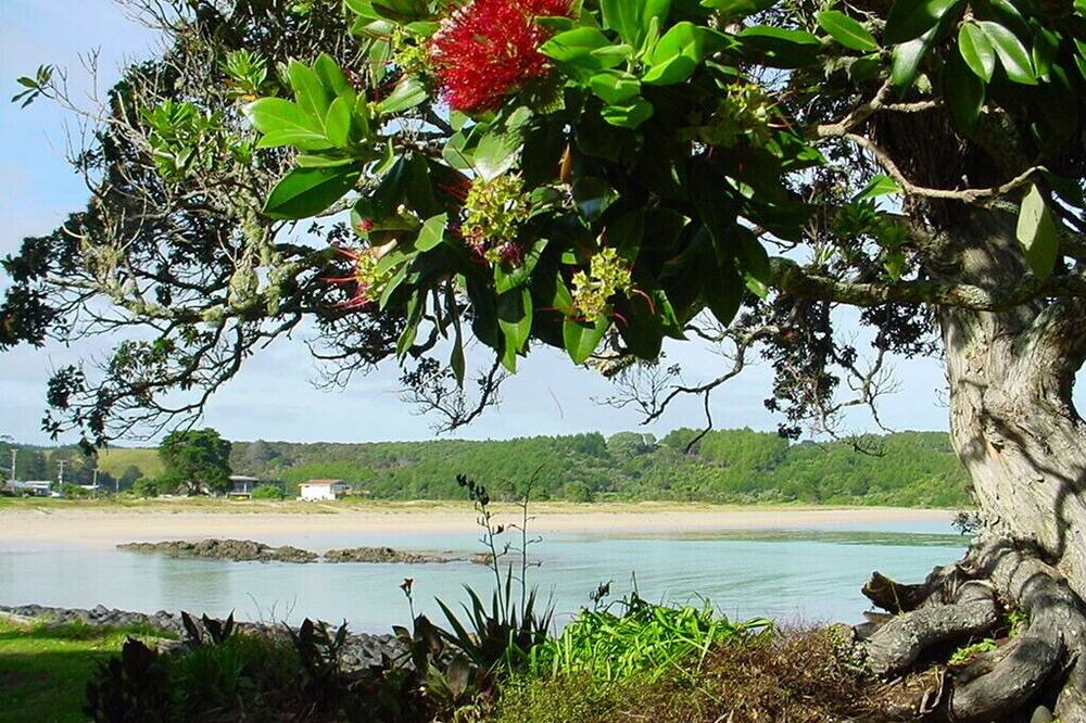 Photo of Others in Te Tii