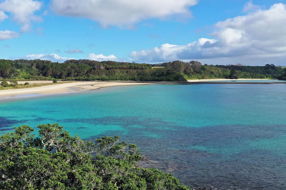 Photo of Others in Te Tii